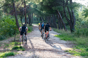 Fototapeta premium Bikes ride in a path inside a Forest in Italy