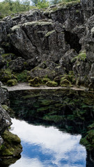 pond in the forest