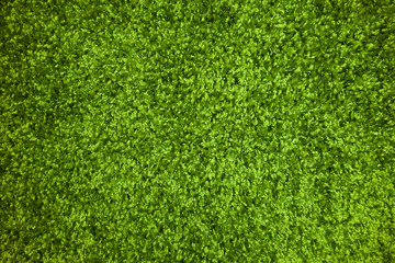 Fototapeta premium plastic green grass carpet texture