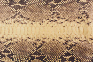 Snake skin, can use as background pattern leather.