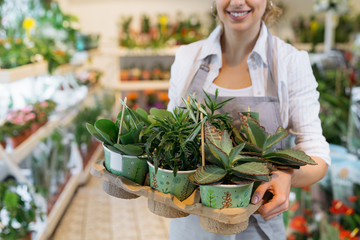 woman holding plants in flower shop