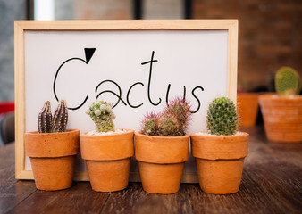 The cactus planted in small pots placed on brown wooden table with whiteboard for write your idea text. Select focus. Natural and sign concept.