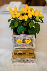 Yellow pot with lemons. Wedding box with wedding rings