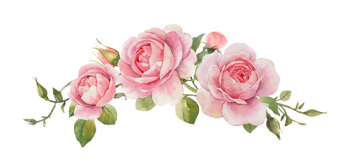 Watercolor rose composition - obrazy, fototapety, plakaty