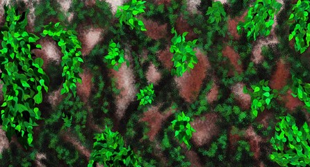 Muro de Rocas con Plantas Silvestres