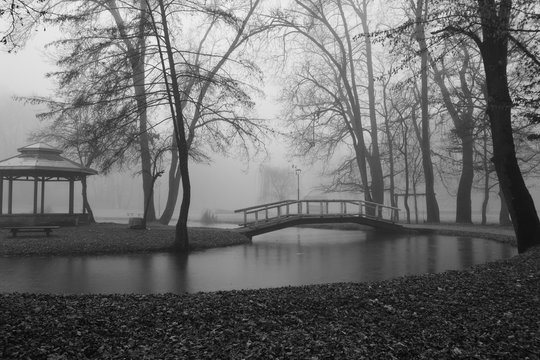 morning in the park