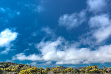 - Sardegna