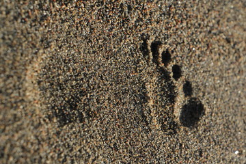 Footprint