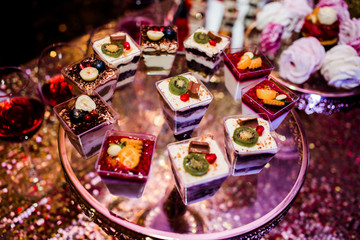 Sweet multi Colored desserts are laid out on the tray