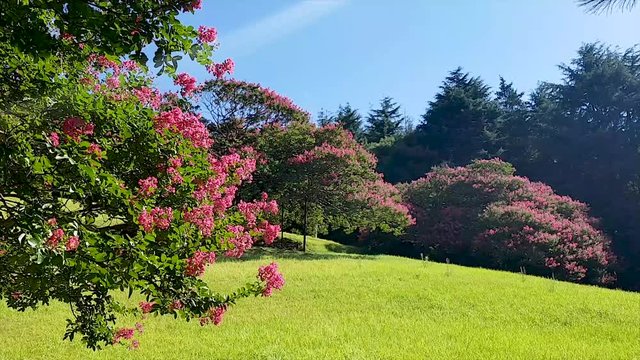 Busan Citizens Park, Busanjingu, Busan, South Korea, Asia