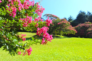 Busan Citizens Park, Busanjingu, Busan, South Korea, Asia