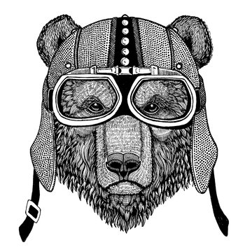 Brown bear Wild animal wearing motorcycle, aero helmet. Biker illustration for t-shirt, posters, prints.