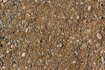 Gravel and dirt texture background