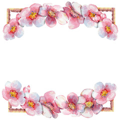  Beautiful frame with cherry blossom on a white background in watercolor .