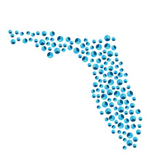 Florida, U.S. state map background blue round closely placed pie charts for infographics eps