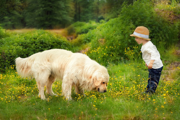 Portrait of cute caucasian blondie baby boy with big dog labrador  in country side background. Nature, outdoors, childhood concept