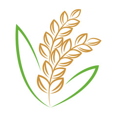 rice Grain logo icon vector.