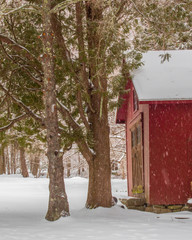 red barn with brown doors and paned windows and evergreen trees in snow storm