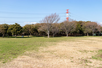Scene of Fukuei Sports Plaza, Ichikawa City, Chiba Prefecture, Japan