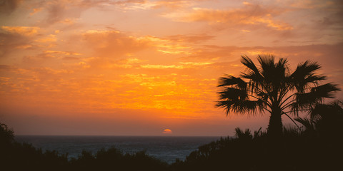 Obraz na płótnie Canvas Sonnenuntergang mit Palme