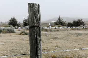 Close up of a post holding barbed wire fence bordering the Lake Scott State Park in western Kansas, February 2019