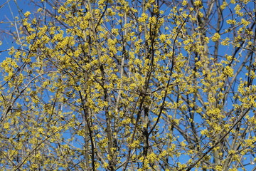 Paesaggi naturali - TRENTO - TRENTINO 