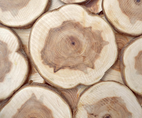 Abstract wood background