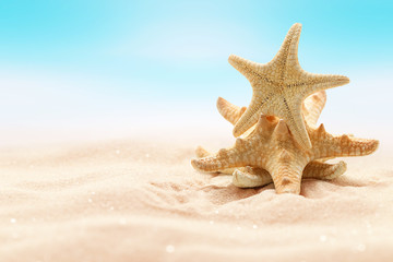 Fototapeta na wymiar Sea starfish on beach in sand. Beach holiday, summertime background. Colour living coral.