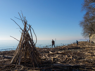 Pile of driftwood on a sunny day at Lindau, Lake Constance, Germany