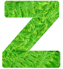 letter z with texture of fern leaves, font Helvetica Word