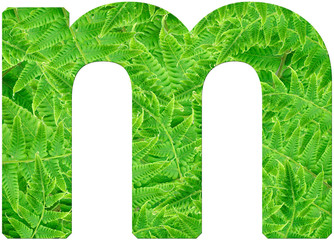 letter m with texture of fern leaves, font Helvetica Word