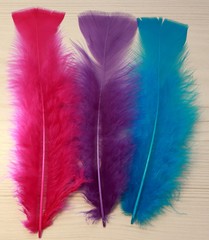 beautiful feathers for decoration