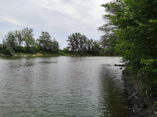 Obraz premium smartcapture