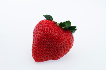 イチゴ　恋みのり　長崎県産