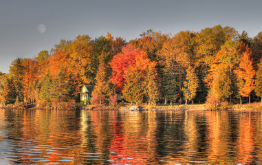 Colorful autumn lake landscape with trees