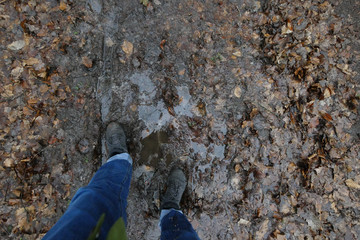 Spaziergang im Regen, Frühjahr im Wald