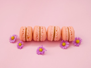 A row of colorful french macaroni over a pink background.