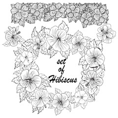 Set of hibiscus Exotic tropic botany leaves and flowers sketch.