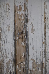 Rustic Wood Barn Texture Peeling Paint 