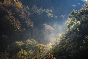 Fototapeta na wymiar The morning light raises wisps of mist between the forests