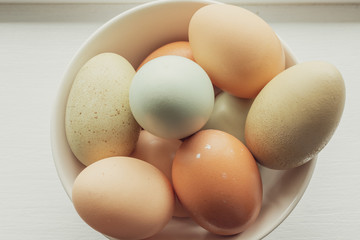 Colorful, Fresh Farm Eggs in Bowl