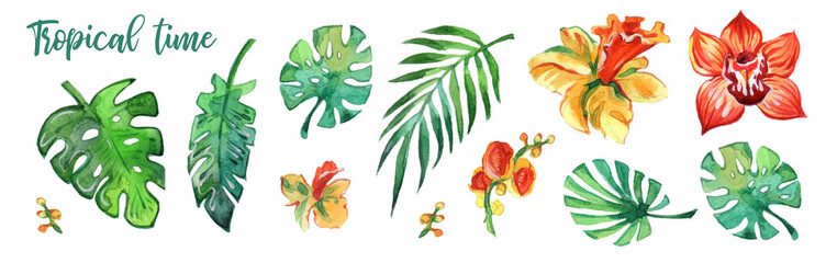 Colorful tropical leaves and flowers watercolour on white background. Watercolour prints. Decoration elements.