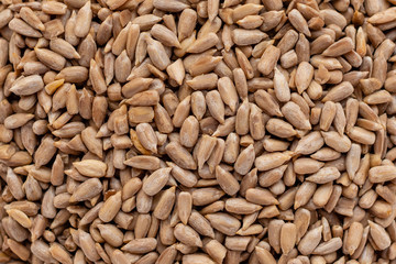 Sunflower seed close up. Breakfast, healthy food. It can be used as a background