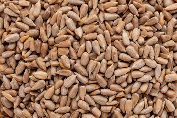 Sunflower seed close up. Breakfast, healthy food. It can be used as a background