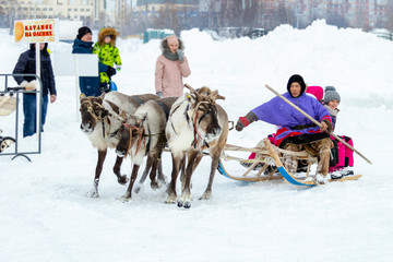 Locals - Khanty, ride children on a reindeer sleigh of three deer, sleigh, winter, ‚ÄúSeeing off winter‚Äù festival, Surgu Region Square, Surgut, Russia - March 11, 2019 © Николай Глухов