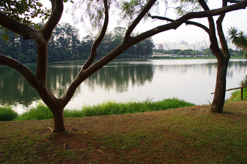 Ibirapuera Park in Sao Paulo, Brazil. Beautiful park in the middle of the biggest Brazilian city. Nature showing its beauty amidst great buildings.