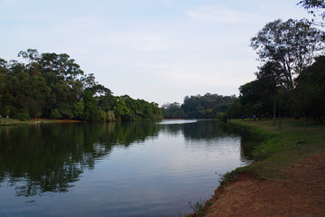 Ibirapuera Park in Sao Paulo, Brazil. Beautiful park in the middle of the biggest Brazilian city. Nature showing its beauty amidst great buildings.