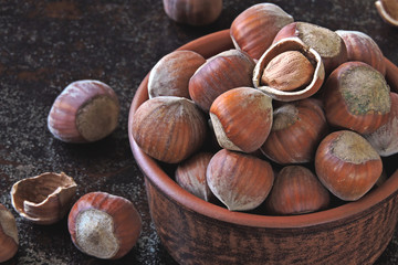 Hazelnuts in a bowl. Fresh hazelnuts in the shell.