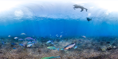 360 of Trevally over reef