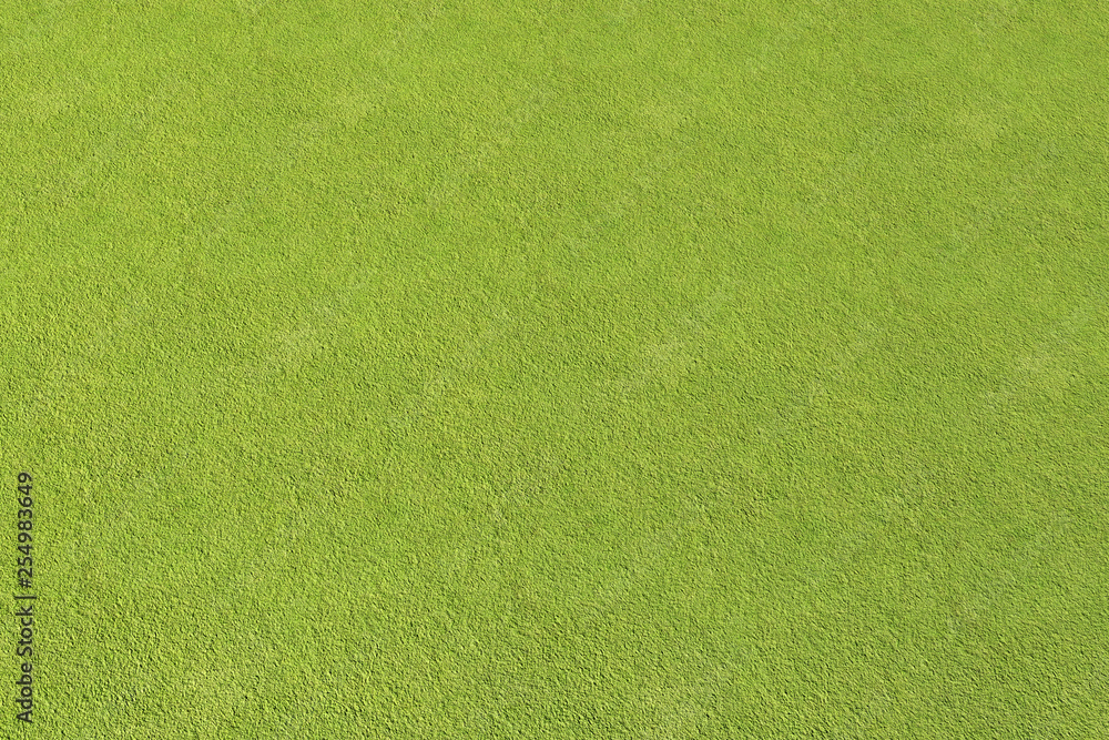 Poster 3d rendering of moss floor